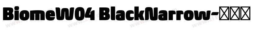 BiomeW04 BlackNarrow字体转换 BiomeW04 BlackNarrow字体转换
